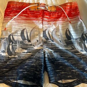 Speedo men’s swim shorts gently used. These have the compression boxer briefs.